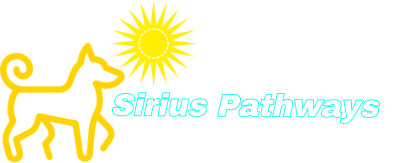 Therapy and Counseling Services